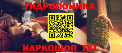 мяу мяу мука Заводоуковск