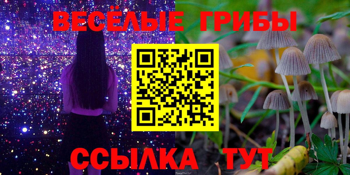 магазин    Псилоцибиновые грибы Psilocybine cubensis  Псилоцибиновые грибы мицелий  Вход с VPN  Менделеевск 